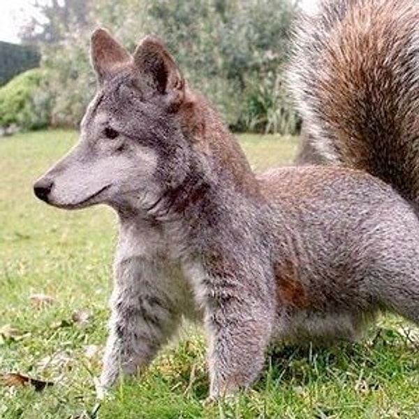 7. Ну что за милашка