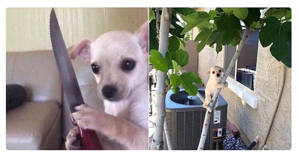 15. Я ору на кого-то Vs. Кто-то слегка повысил на меня голос