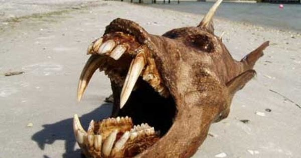 10. И напоследок...