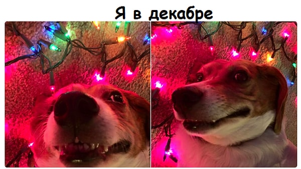 7. Потому что как только наступает декабрь...