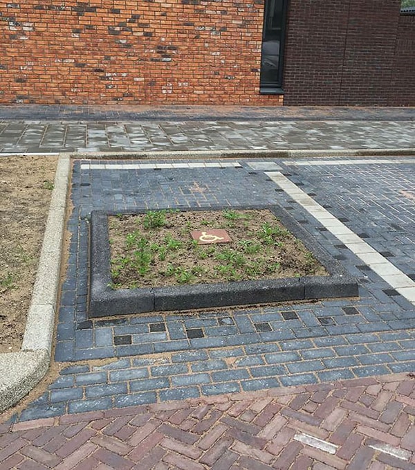 4. Ни стыда ни совести 👏👏