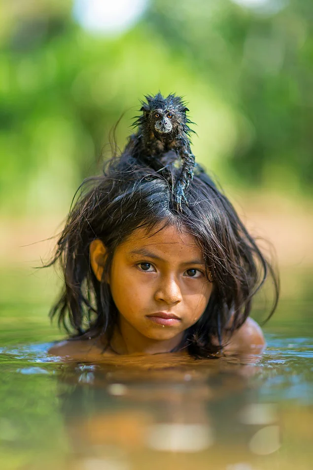 Ручной буроголовый тамарин крепко уцепился за свою маленькую хозяйку, девочку из индейского племени мачигенга. Национальный парк Ману, Перу