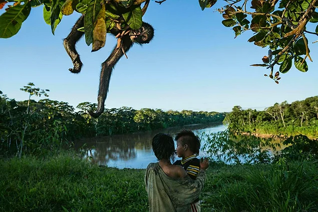 Аборигены, живущие в национальном парке Ману, Перу, и коата (паукообразная обезьяна), свисающая с дерева