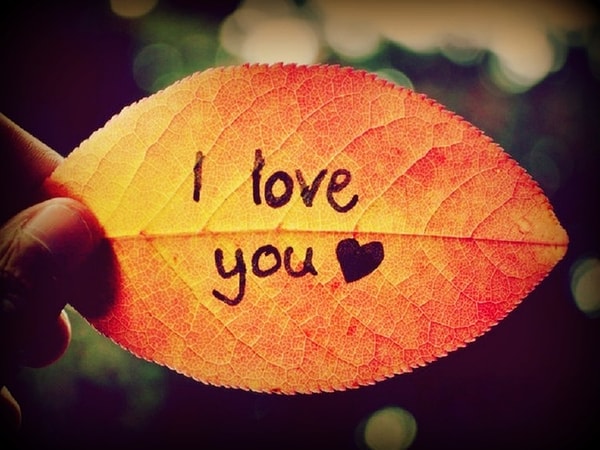 22. Говорите жене: «Я люблю тебя» не реже двух раз в день