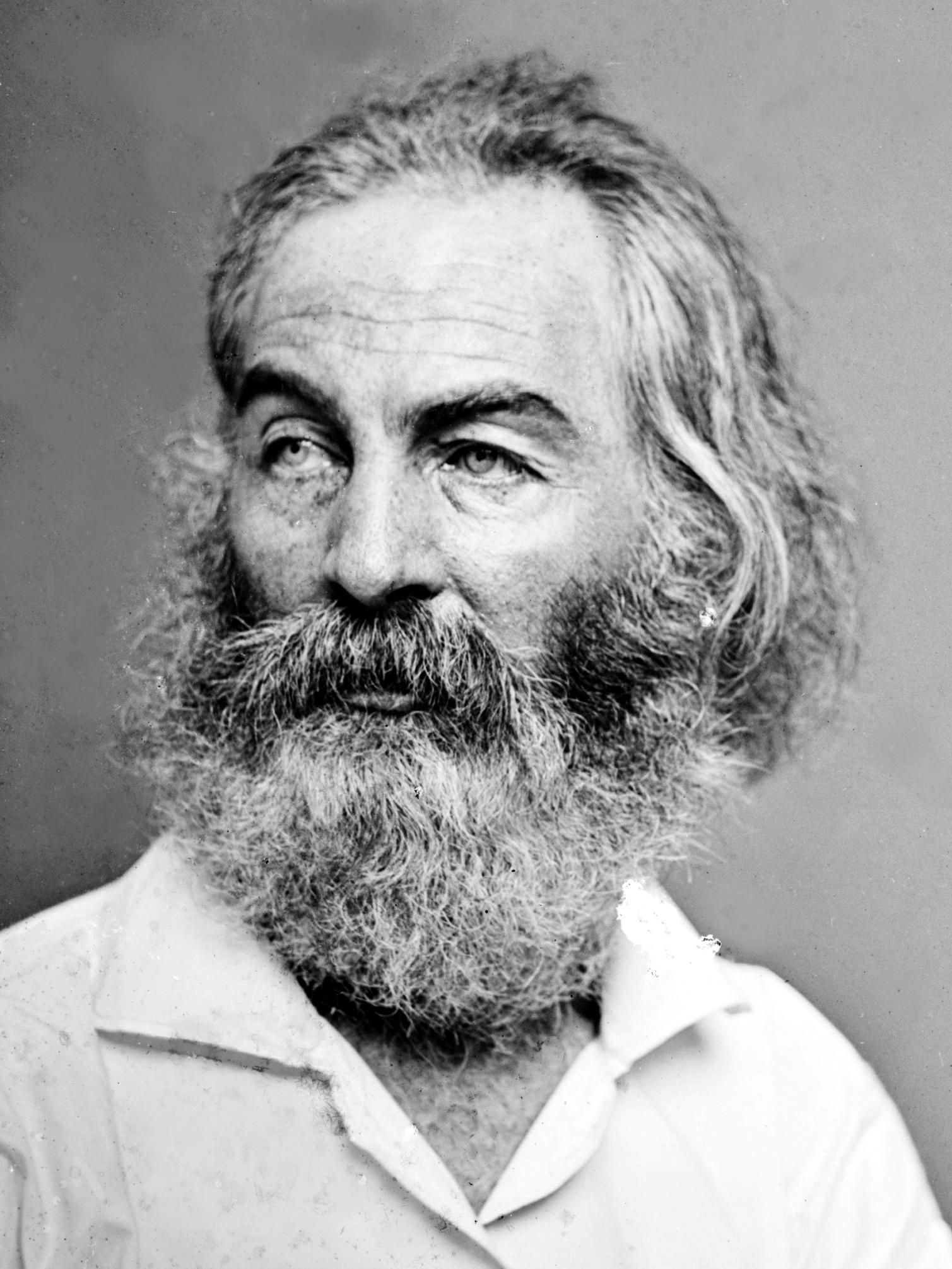Писатель 11 букв. Уолт Уитмен. Уолт Уитмен (Walt Whitman, 1819-1892). Уитмен в молодости. Уолт Уитмен в молодости.