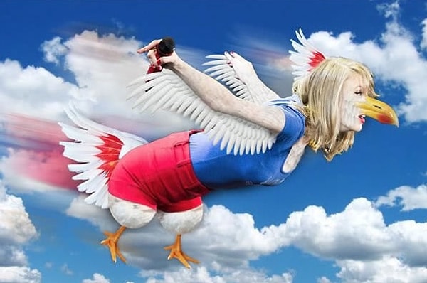 17. Куда же ты, Тейлор?