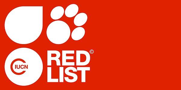 IUCN'nin güncellenen 'kırmızı listesi'nde 85 binden fazla hayvan ve bitki türü bulunuyor.