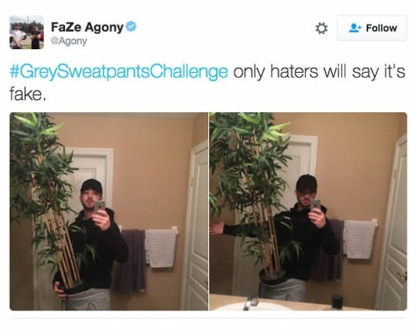 10. Целый лес