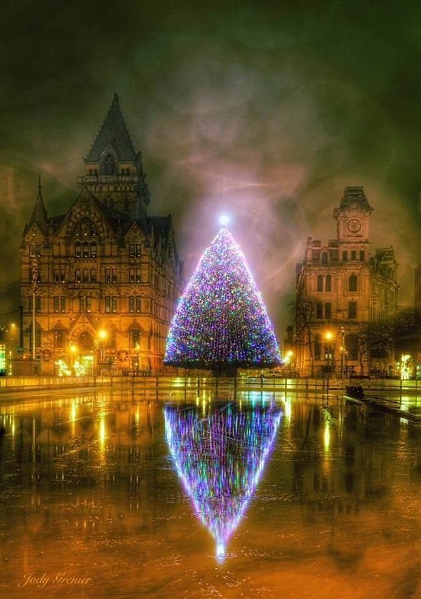 18. Мистическая ель. Сиракьюс, США