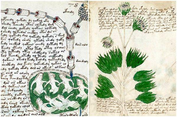3. The Voynich Manuscript.