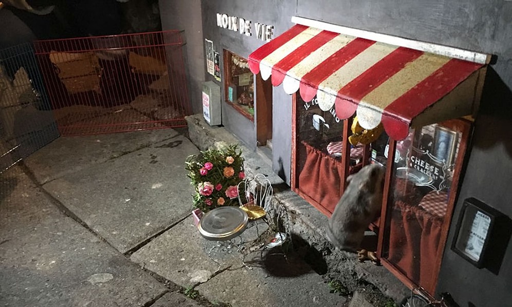 İsveç'te Fareler İçin Minnacık Dükkanlar Açan Sıradışı Sanat Grubu: Adsız Fareler