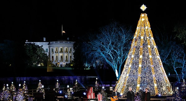 4. В Вашингтоне существует традиция — с 1923 года президент Америки вместе с народом зажигают национальную елку возле Белого дома.