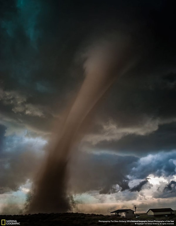 8. Второе место, категория «Действия»: Появление. Колорадо.