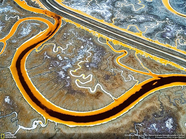 19. Второе место, категория «Проблемы окружающей среды»: Вид из штаб-квартиры Facebook. Калифорния.