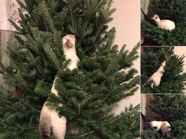 2. Не вешайте стеклянные ёлочные игрушки на нижние ветки.