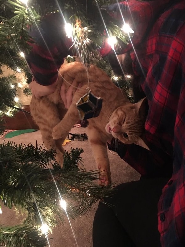 5. Хорошо и крепко зафиксируйте ёлку при установке