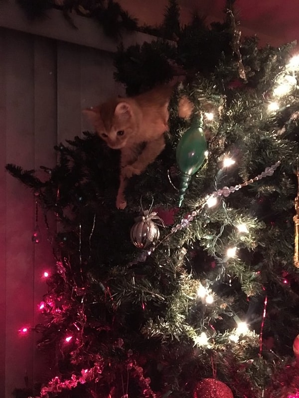 8. Так что не переживайте раньше времени