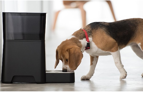 3. Умная кормушка для животных