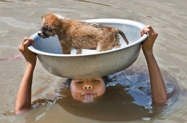 10. This little girl who saved this puppy from the flood. 😳