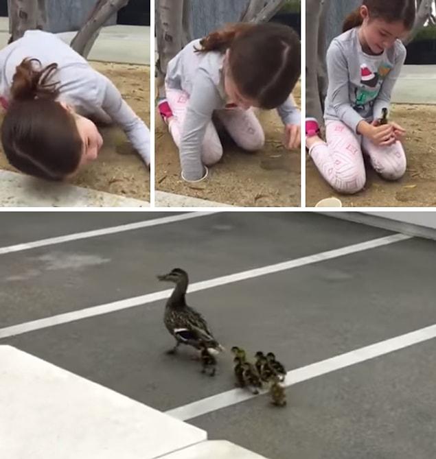 16. This 6-year-old girl who saved the life of 8 ducklings.
