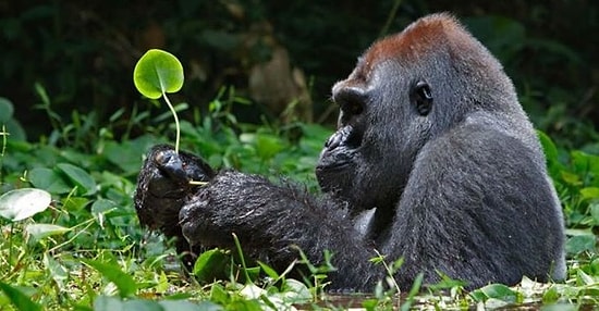 10 невероятных африканских стран, которые должен посетить каждый