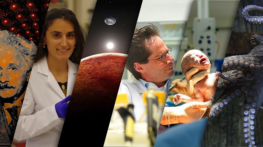 Biz Gündemde Boğulurken 2016 Yılında Bilim Dünyasında Yaşanan 32 Mühim Gelişme