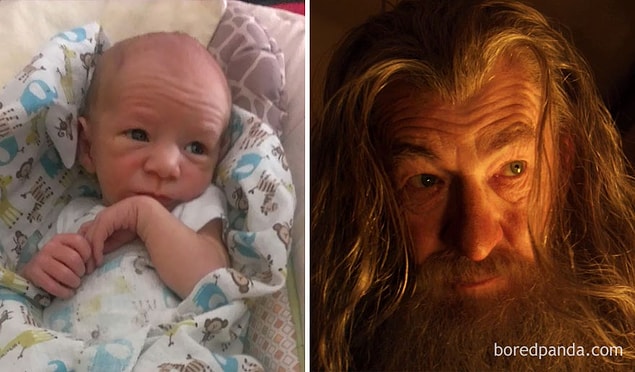 6. Gandalf?