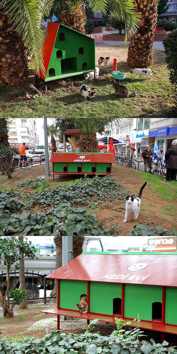 10. Kedilerin barınabilmesi için İzmir Karşıyaka Belediyesi'nin parklara yaptığı kalıcı evler.