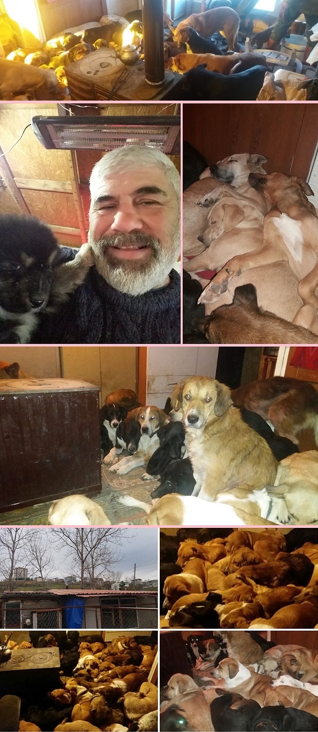 12. Samsun'da kurduğu barınak ile soğuk günlerde köpeklerin soba başında ısınmasını sağlayan Sinan Karagöz.