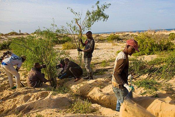 16. Moritanya'nın Nouakchott kentini yükselen su seviyesinden korumak için kum tepeleri oluşturuluyor. Şehrin %80'i 10 yıl içinde sular altında kalabilir.