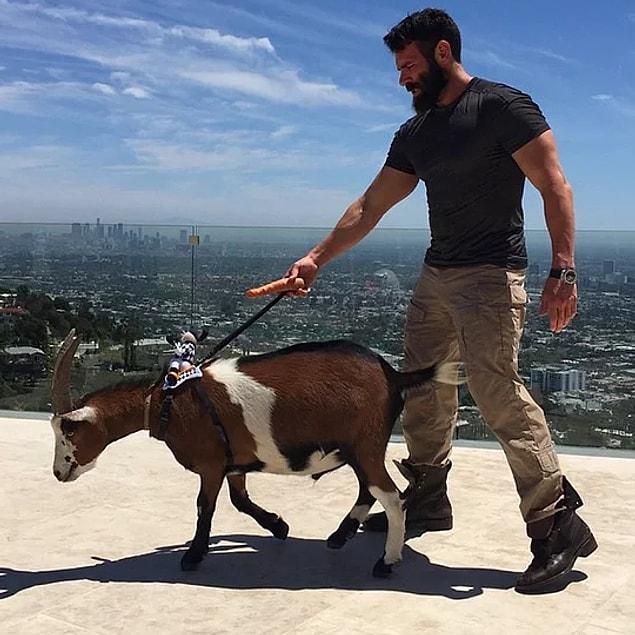 Dan's goat means the world to him...