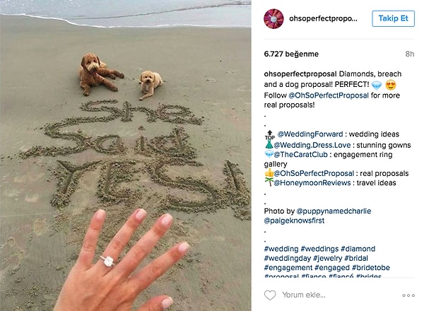 12. На берегу моря