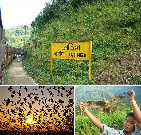 8. Долина падающих птиц