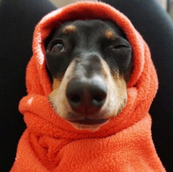 10. "О Боже, кто включил свет?! Выключите свет!"