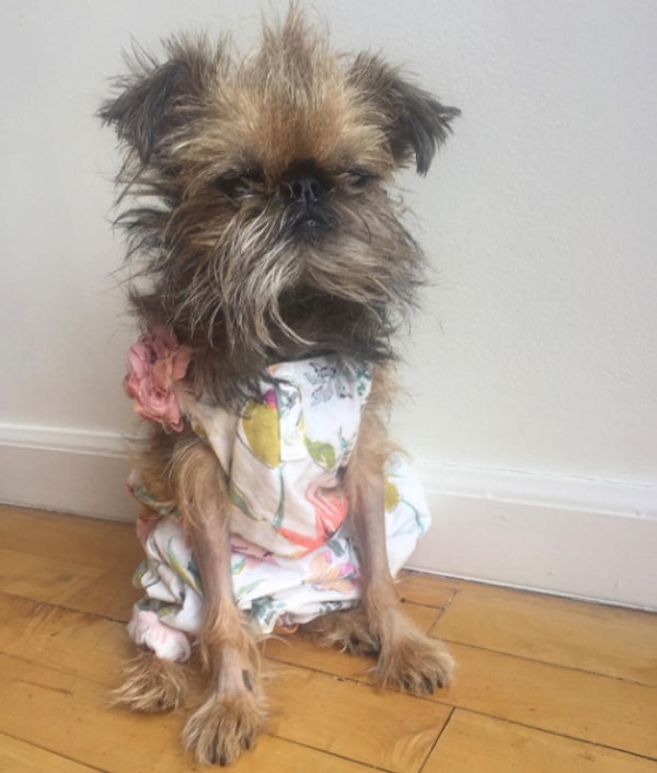 12. Когда кто-то говорит, что сейчас придут бабушка и дедушка, и тебе надо одеться подобающе, а ты с жуткой похмелюги