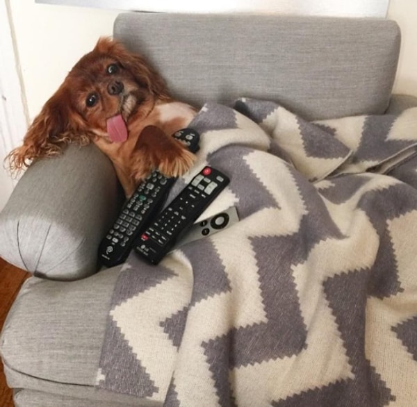 15. "Все! Больше никогда не буду так пить!"