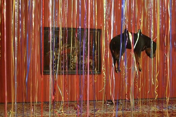 14. Ян Фабр устроил выставку мертвых животных