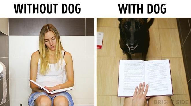 Köpekle Yaşamak vs Köpeksiz Yaşamak