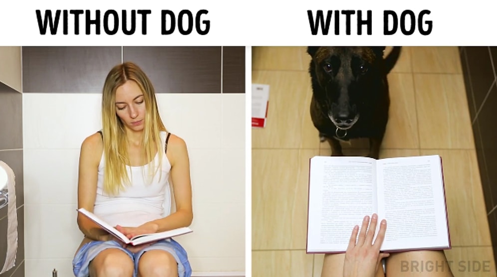 Köpekle Yaşamak vs Köpeksiz Yaşamak