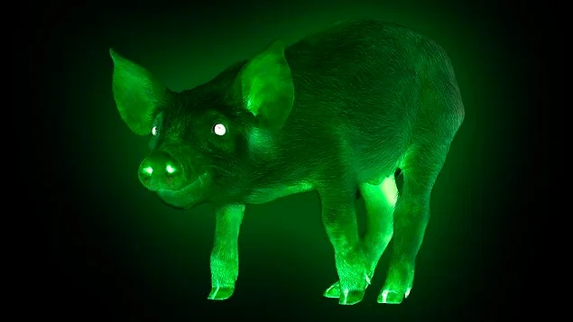 Glow-In-The-Dark Pigs