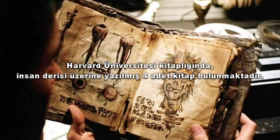 Bunları Hiçbir Yerde Öğretmezler: Ufkunuzu İki Kat Değil 19 Kat Açacak 19 İlginç Bilgi