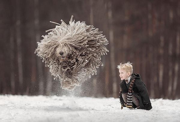 "Küçük Çocuklar ve Büyük Köpekleri" Andy Seliverstoff tarafından yönetilen, köpekler ve çocuklar arasındaki yıkılmaz bağın fotoğraflandığı harika bir proje.