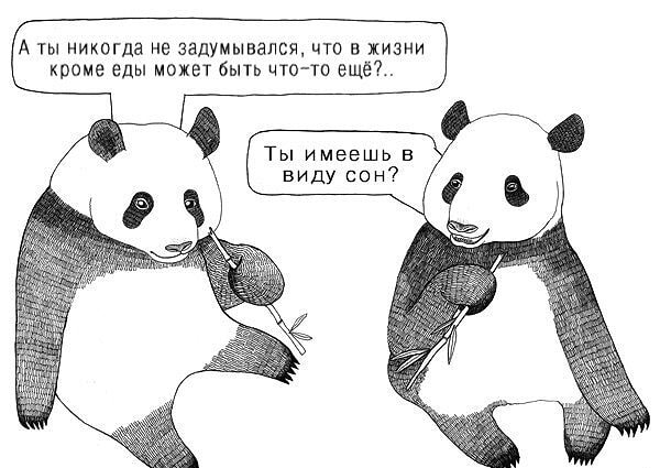 11. Новогодние каникулы