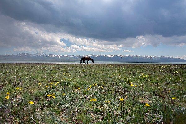 12. Son Göl'de huzur ve harmoni, Kırgızistan