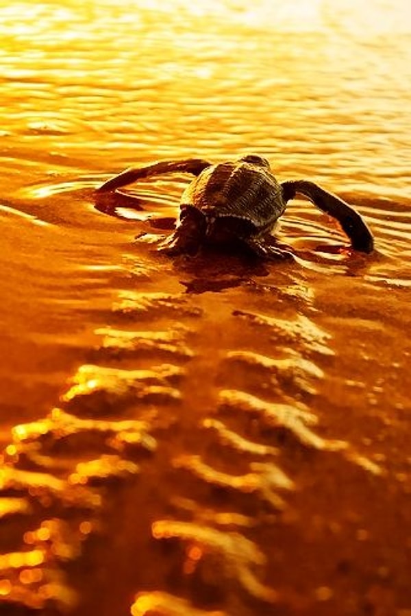 3. Доводите начатое до конца и никогда не сдавайтесь.