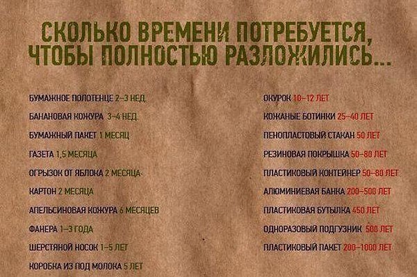 40. Сколько времени разлагается мусор.