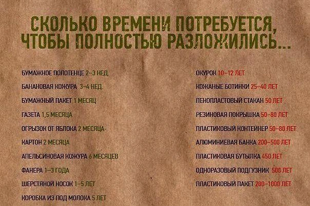 Разлагается мышь. Сколько разлагается мышка. Сколько времени разлагается. Время разложения волос. За сколько времени разлагается человек.