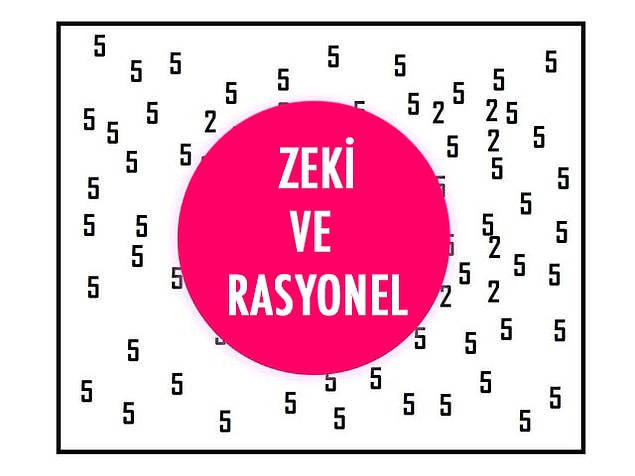 Zeki ve rasyonel çıktı!