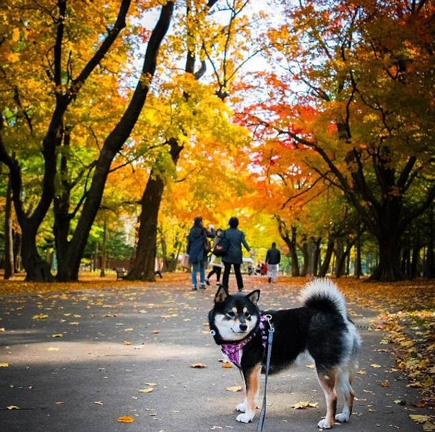 ❤