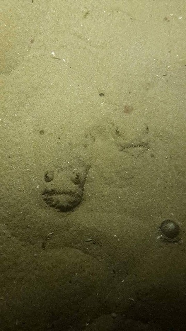 7. Imagine yourself looking at those smiling faces under water!